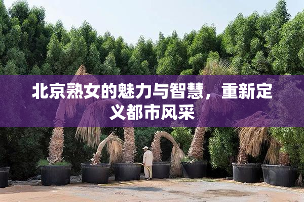 北京熟女的魅力与智慧，重新定义都市风采