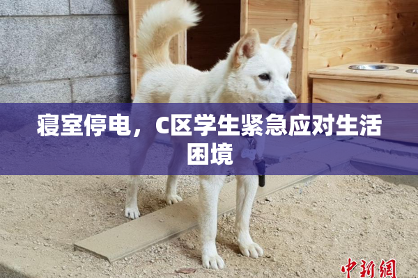 寝室停电，C区学生紧急应对生活困境