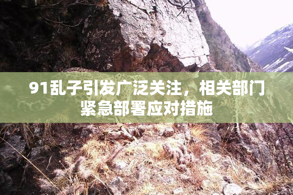 91乱子引发广泛关注，相关部门紧急部署应对措施