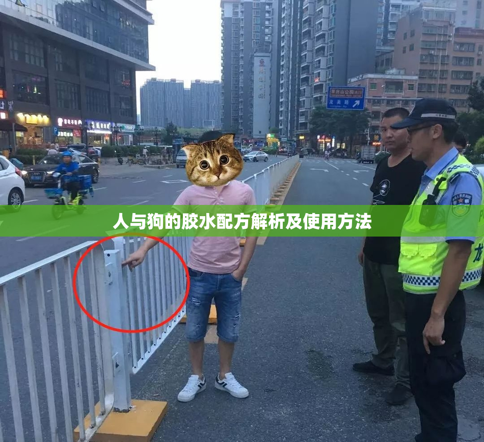 人与狗的胶水配方解析及使用方法