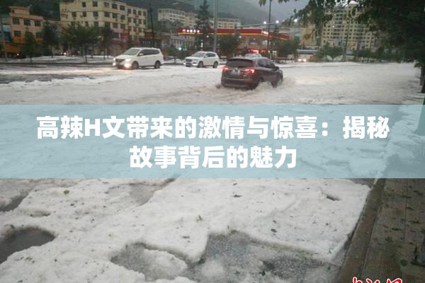 高辣H文带来的激情与惊喜：揭秘故事背后的魅力