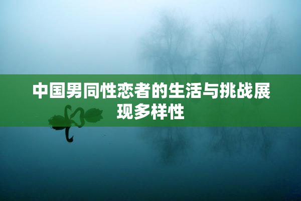 中国男同性恋者的生活与挑战展现多样性