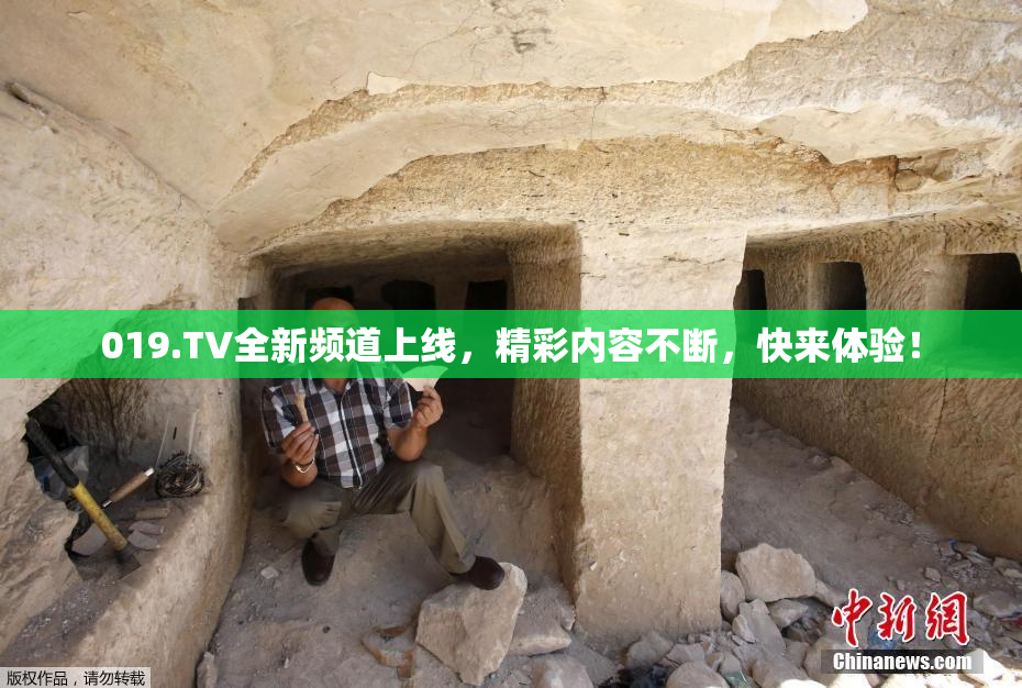 019.TV全新频道上线，精彩内容不断，快来体验！