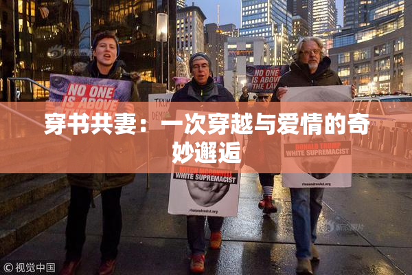 穿书共妻：一次穿越与爱情的奇妙邂逅