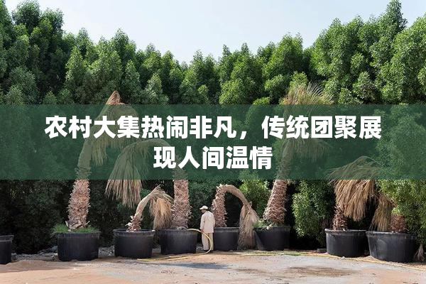 农村大集热闹非凡，传统团聚展现人间温情