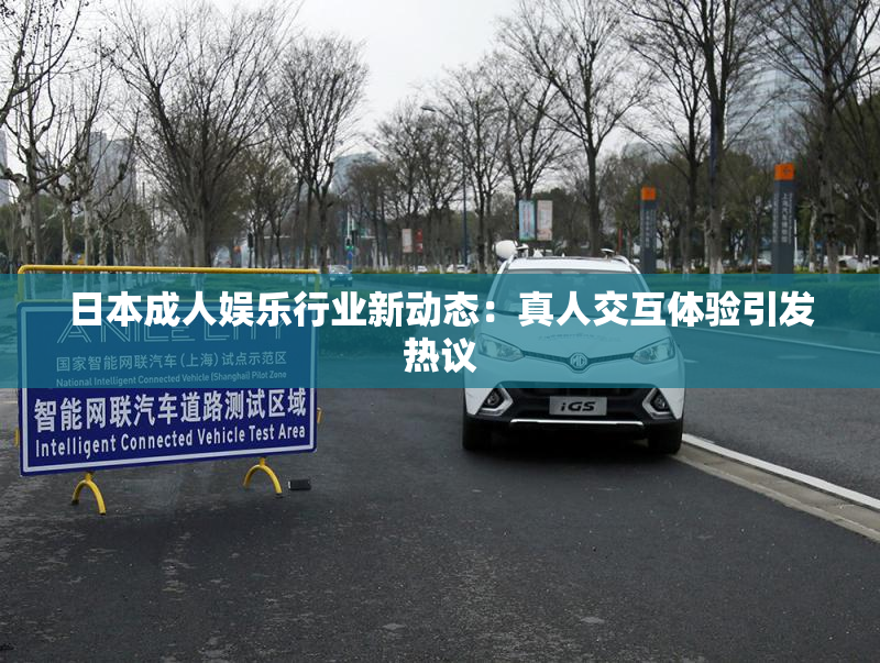 日本成人娱乐行业新动态：真人交互体验引发热议