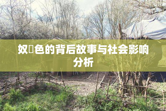 奴隷色的背后故事与社会影响分析