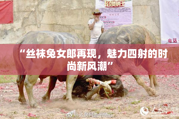 “丝袜兔女郎再现，魅力四射的时尚新风潮”