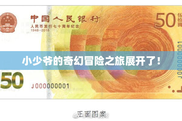 小少爷的奇幻冒险之旅展开了！