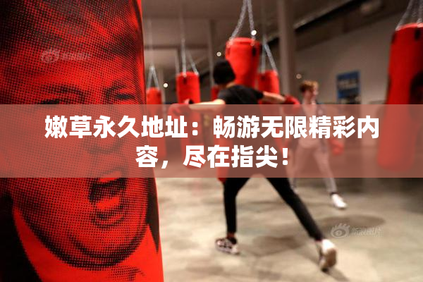嫩草永久地址：畅游无限精彩内容，尽在指尖！