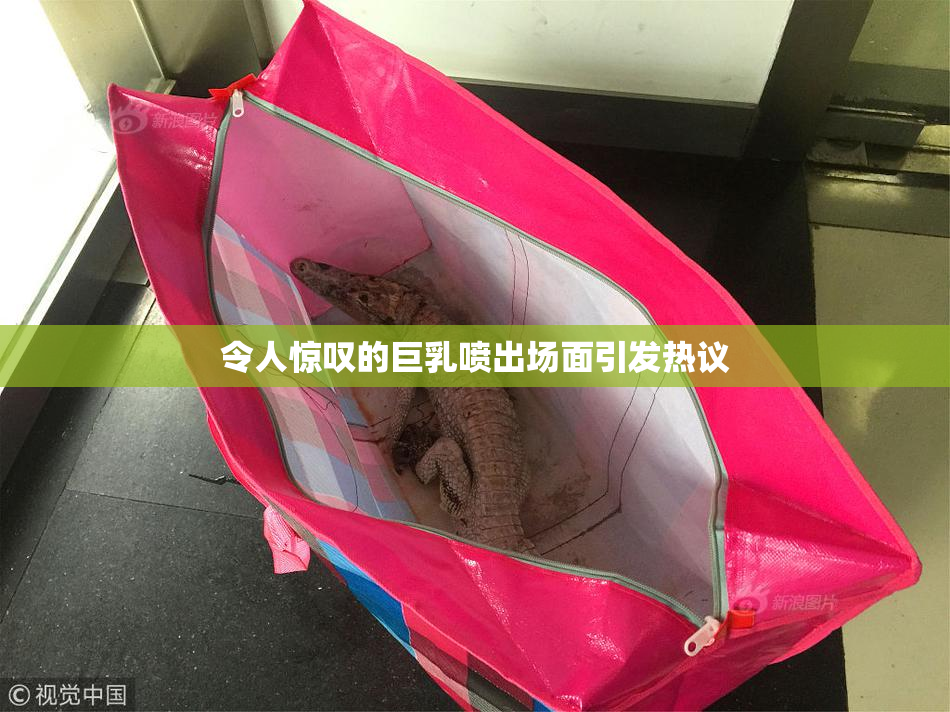 令人惊叹的巨乳喷出场面引发热议
