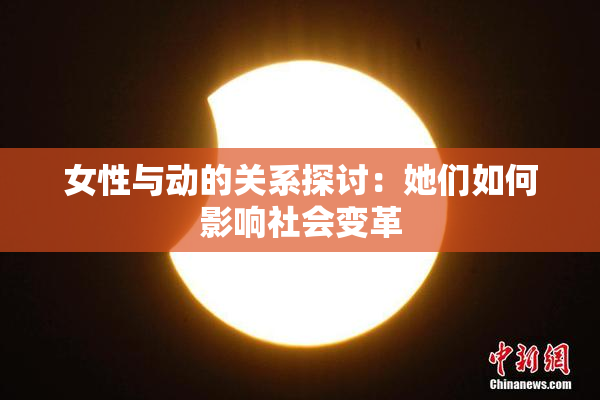 女性与动的关系探讨：她们如何影响社会变革