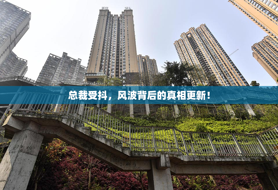 总裁受抖，风波背后的真相更新！