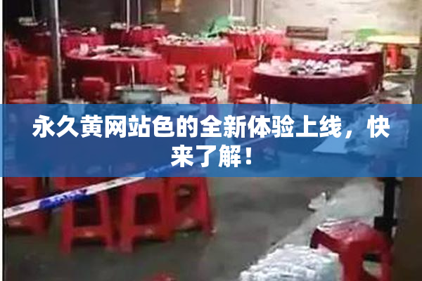 永久黄网站色的全新体验上线，快来了解！