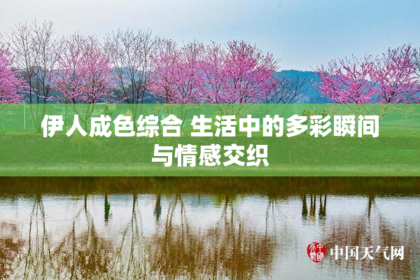 伊人成色综合 生活中的多彩瞬间与情感交织