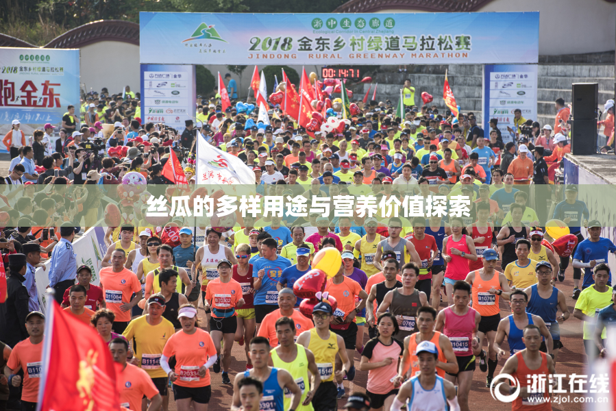 丝瓜的多样用途与营养价值探索