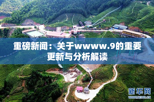 重磅新闻：关于wwww.9的重要更新与分析解读