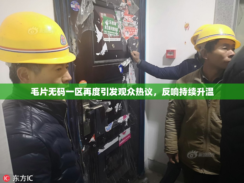 毛片无码一区再度引发观众热议，反响持续升温