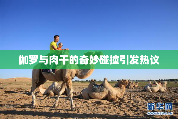 伽罗与肉干的奇妙碰撞引发热议