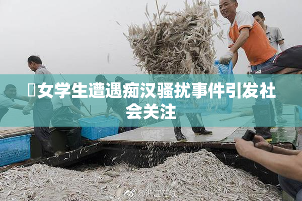 巜女学生遭遇痴汉骚扰事件引发社会关注