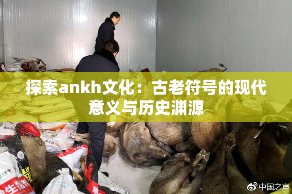 探索ankh文化：古老符号的现代意义与历史渊源