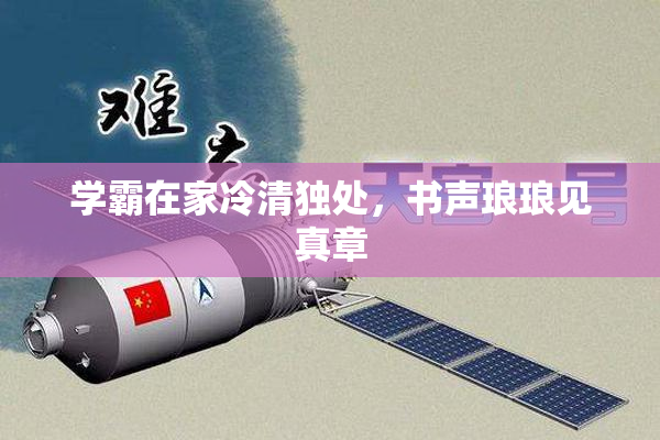 学霸在家冷清独处，书声琅琅见真章
