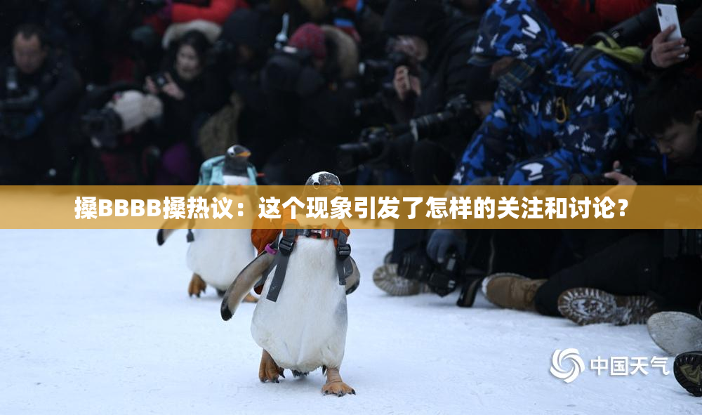 搡BBBB搡热议：这个现象引发了怎样的关注和讨论？