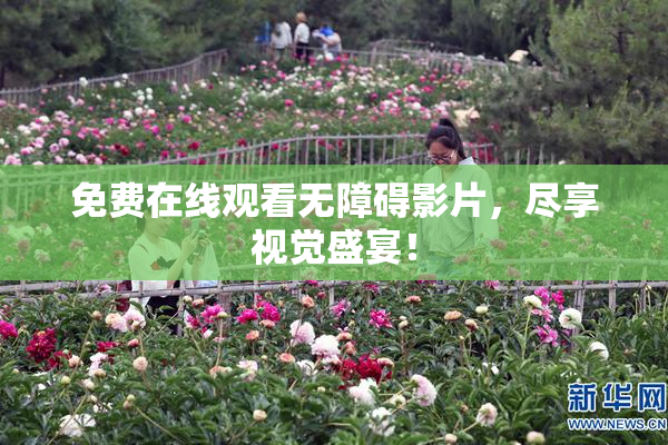 免费在线观看无障碍影片，尽享视觉盛宴！