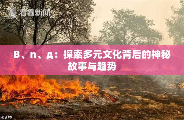 B、n、д：探索多元文化背后的神秘故事与趋势
