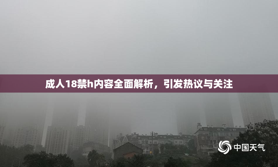 成人18禁h内容全面解析，引发热议与关注