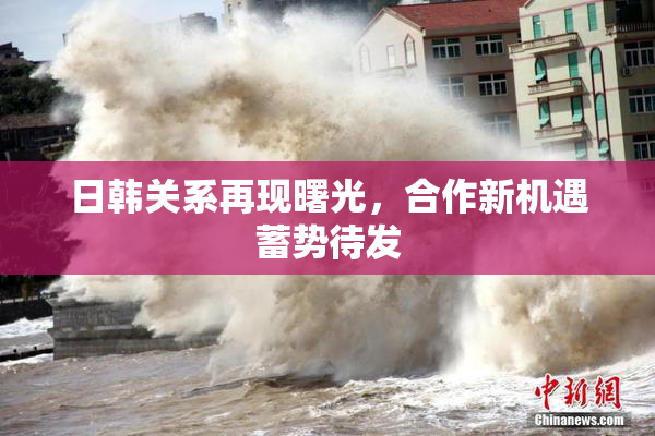 日韩关系再现曙光，合作新机遇蓄势待发
