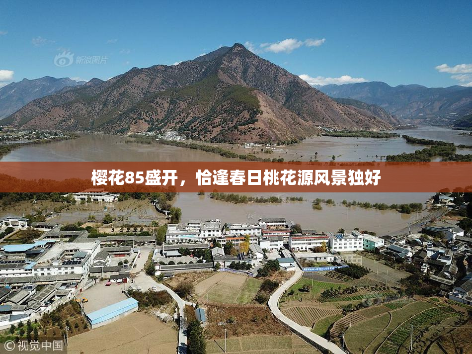 樱花85盛开，恰逢春日桃花源风景独好