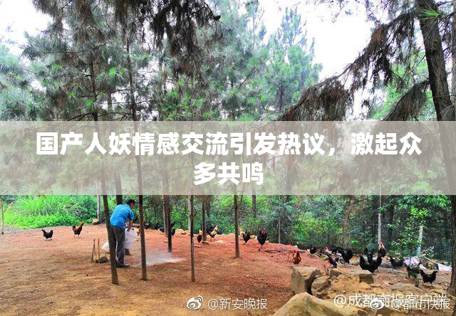 国产人妖情感交流引发热议，激起众多共鸣