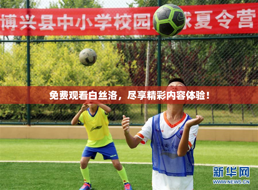 免费观看白丝洛，尽享精彩内容体验！