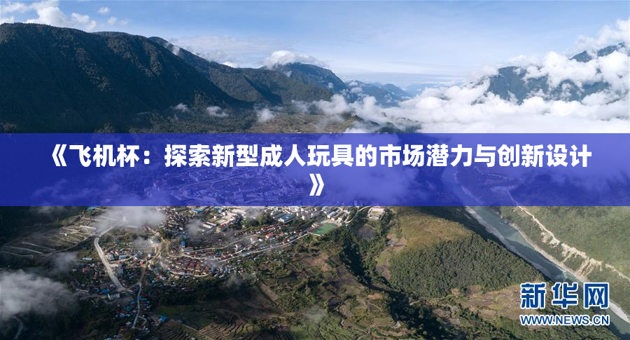 《飞机杯：探索新型成人玩具的市场潜力与创新设计》