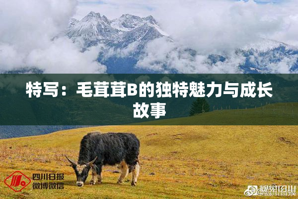 特写：毛茸茸B的独特魅力与成长故事
