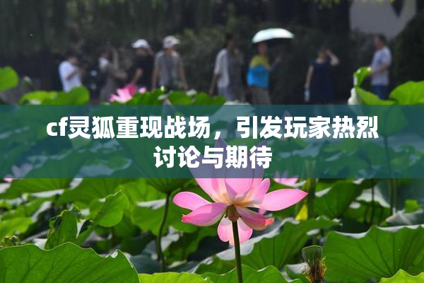 cf灵狐重现战场，引发玩家热烈讨论与期待