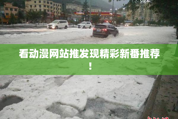 看动漫网站推发现精彩新番推荐！