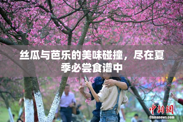 丝瓜与芭乐的美味碰撞，尽在夏季必尝食谱中
