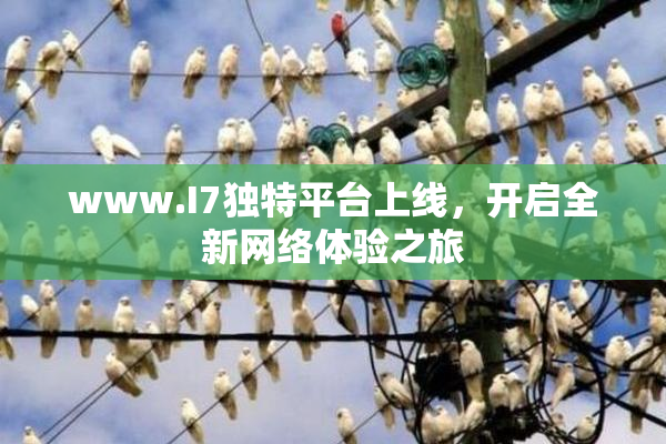www.I7独特平台上线，开启全新网络体验之旅