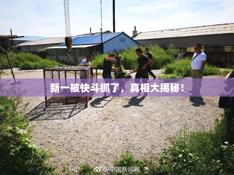 新一被快斗抓了，真相大揭秘！