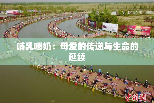 哺乳喂奶：母爱的传递与生命的延续