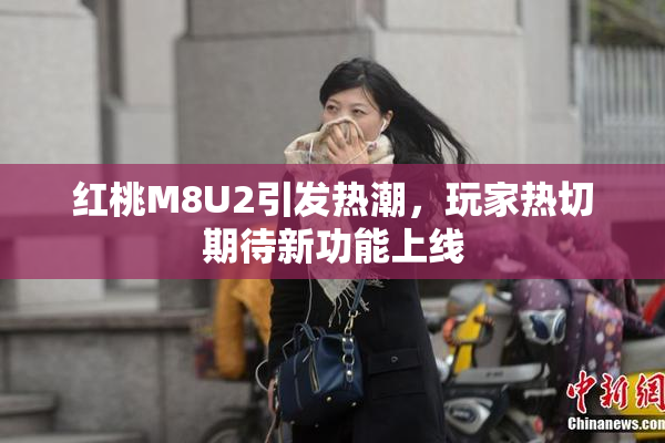 红桃M8U2引发热潮，玩家热切期待新功能上线