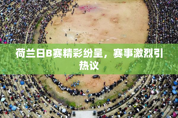 荷兰日B赛精彩纷呈，赛事激烈引热议