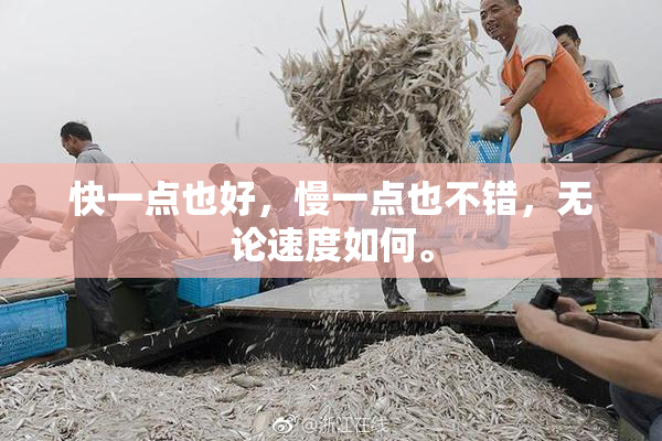快一点也好，慢一点也不错，无论速度如何。