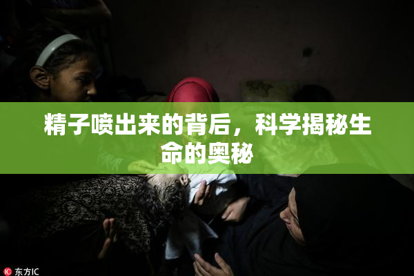 精子喷出来的背后，科学揭秘生命的奥秘
