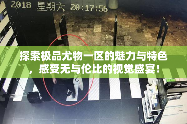 探索极品尤物一区的魅力与特色，感受无与伦比的视觉盛宴！