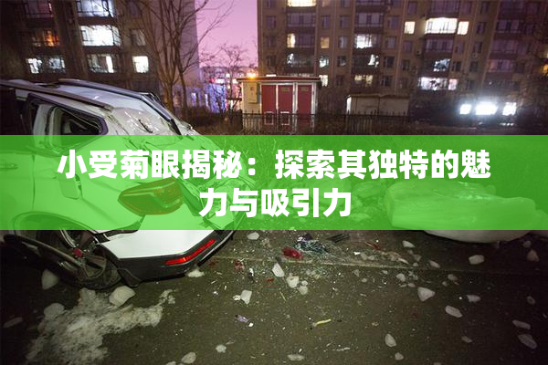 小受菊眼揭秘：探索其独特的魅力与吸引力