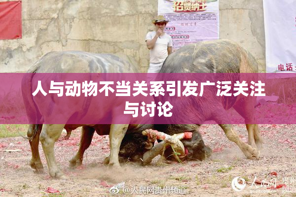 人与动物不当关系引发广泛关注与讨论