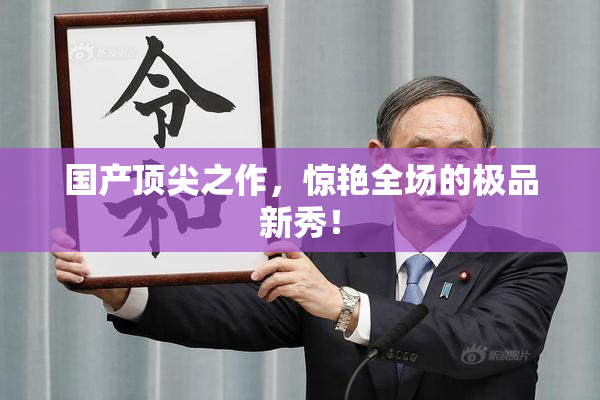 国产顶尖之作，惊艳全场的极品新秀！